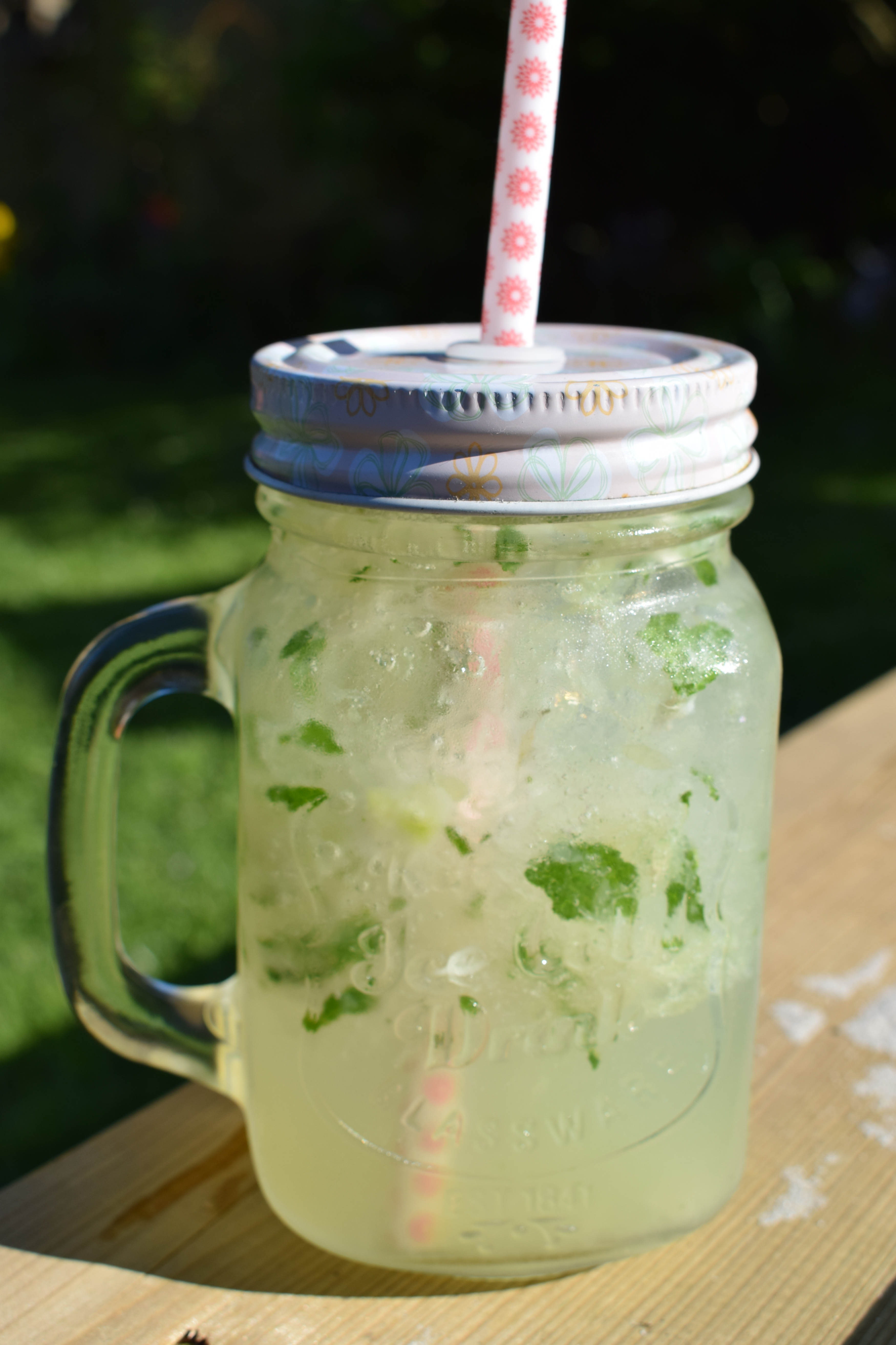 Thermomix Rezept – Britta´s Mojito