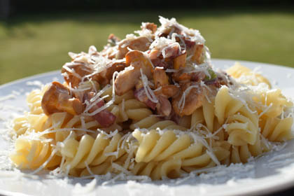 Pasta mit Pfifferlingen – Thermomixrezept